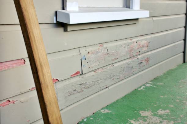 Best Insulated Siding Installation  in USA